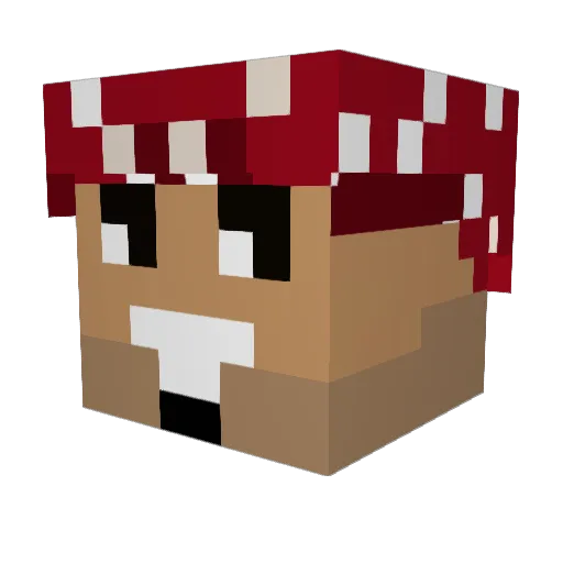munwin Minecraft avatar head, 3D render