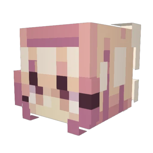 murilegus Minecraft avatar head, 3D render
