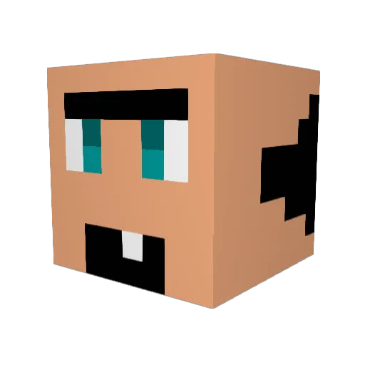 murmeldyret7 Minecraft avatar head, 3D render