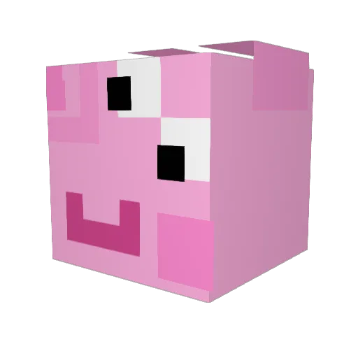 murphyquinn4 Minecraft avatar head, 3D render