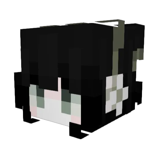 mushcaptain Minecraft avatar head, 3D render