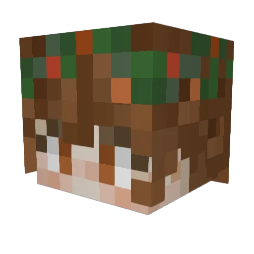 mushgremlin Minecraft avatar head, 3D render