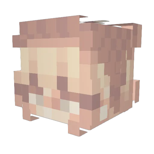 mushroofrogs Minecraft avatar head, 3D render