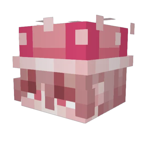 mushroom_pi Minecraft avatar head, 3D render