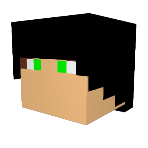 mushroomkoko Minecraft avatar head, 3D render