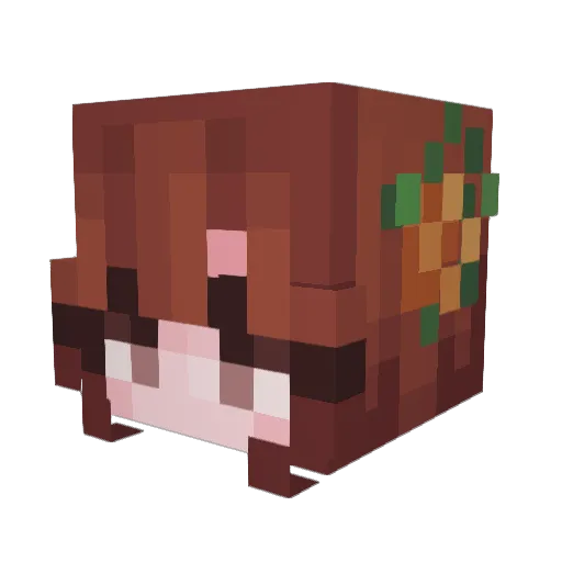 mushypeas123 Minecraft avatar head, 3D render