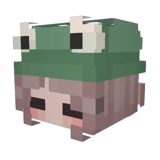 mustache__cat Minecraft avatar head, 3D render