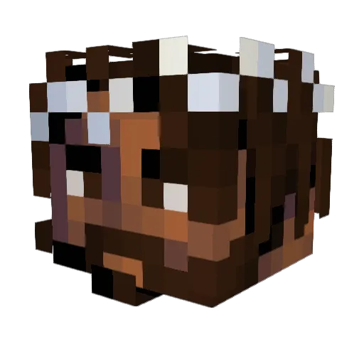 mustard118x Minecraft avatar head, 3D render