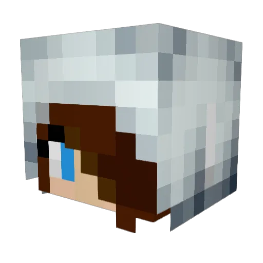 mutant_ninja Minecraft avatar head, 3D render