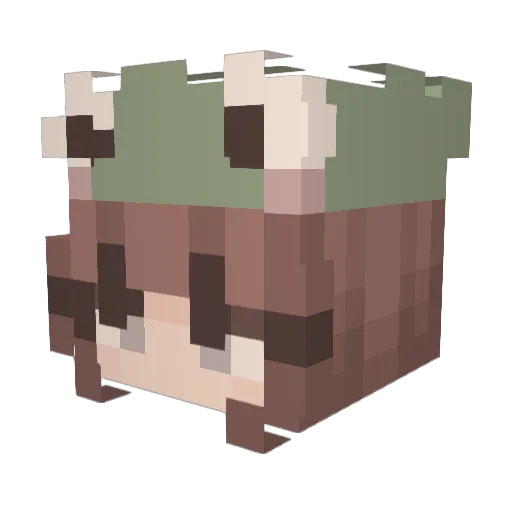 mutterhoose Minecraft avatar head, 3D render