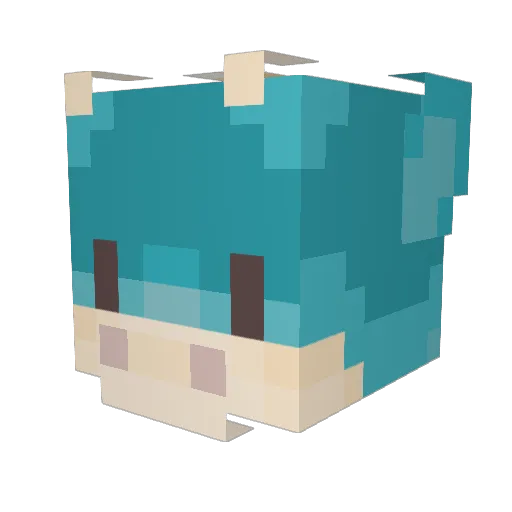 muttsaggington Minecraft avatar head, 3D render
