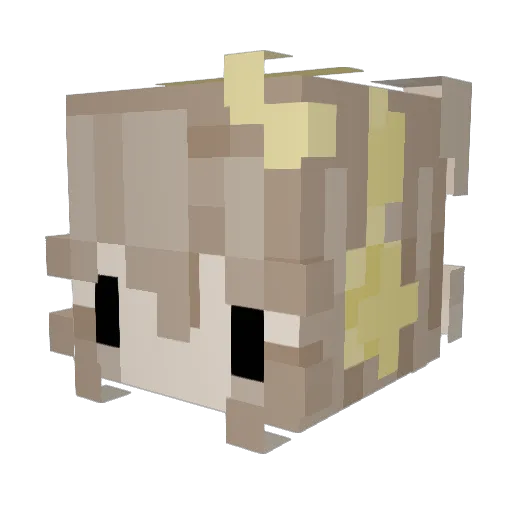 muunzzi Minecraft avatar head, 3D render