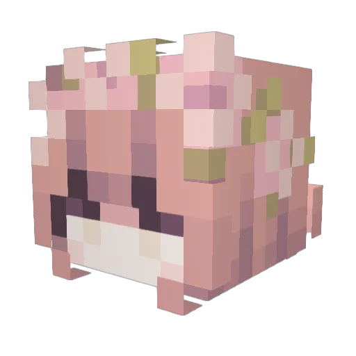 muye002 Minecraft avatar head, 3D render