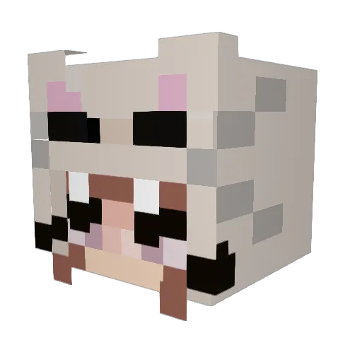 mvmaxe Minecraft avatar head, 3D render