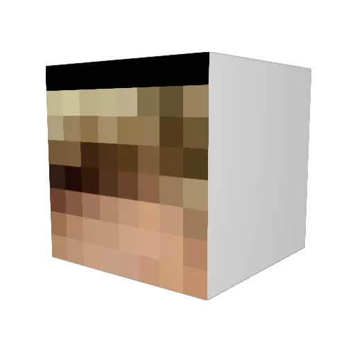 mwats5251 Minecraft avatar head, 3D render