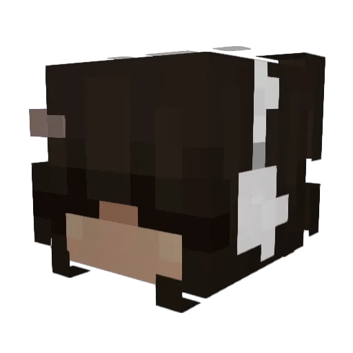 mwiah Minecraft avatar head, 3D render