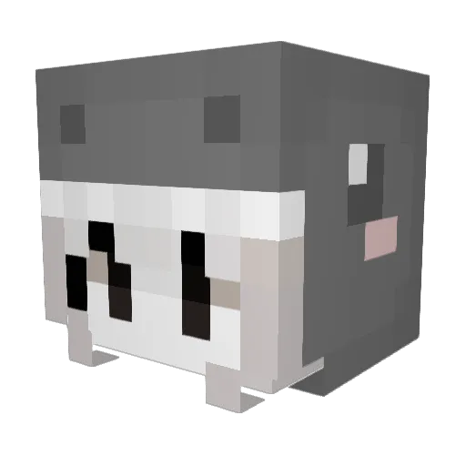 mwwol Minecraft avatar head, 3D render