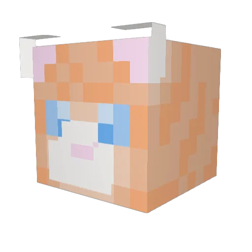 mxbmlr2003 Minecraft avatar head, 3D render