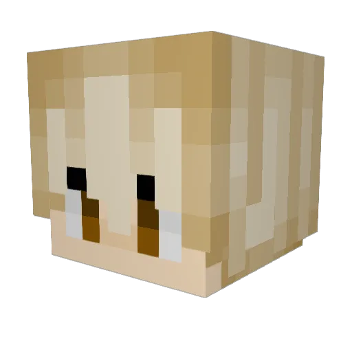 mxcp Minecraft avatar head, 3D render