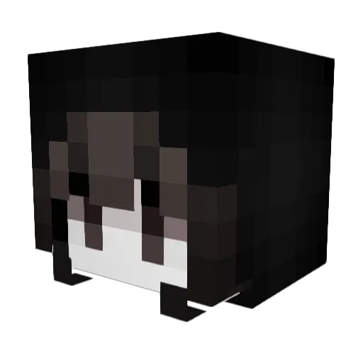 mxdnes Minecraft avatar head, 3D render