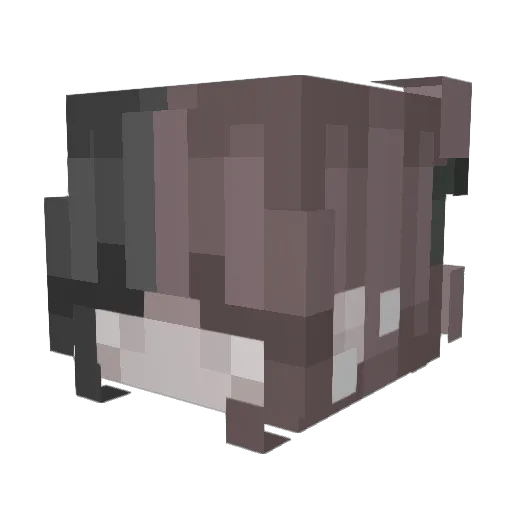mxmmyray Minecraft avatar head, 3D render