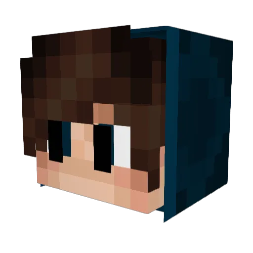 mxqa69 Minecraft avatar head, 3D render
