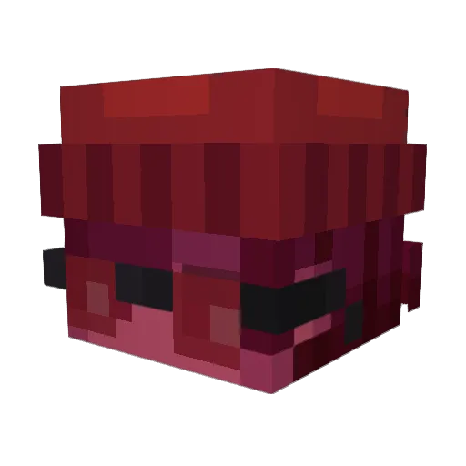 mxro0n Minecraft avatar head, 3D render