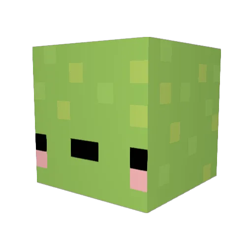 myNathan Minecraft avatar head, 3D render