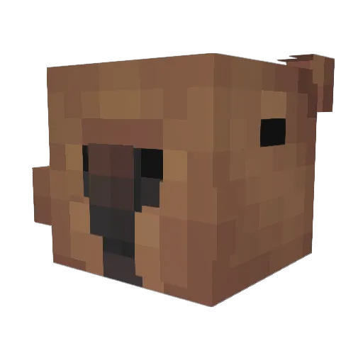 my_capybara Minecraft avatar head, 3D render