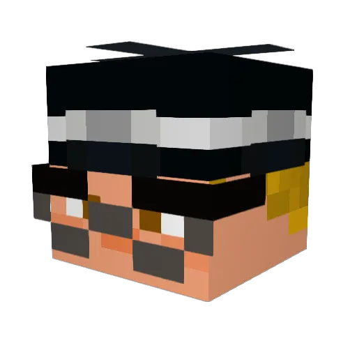 my_worldz Minecraft avatar head, 3D render