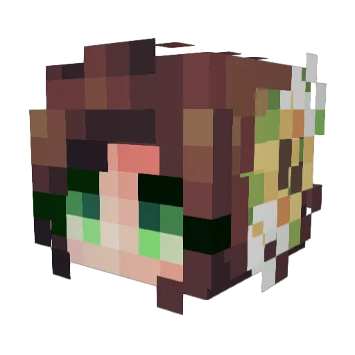 myancarroll Minecraft avatar head, 3D render