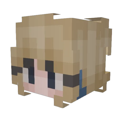 mycatismyfav Minecraft avatar head, 3D render