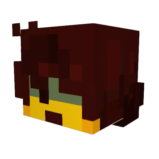 mycatisonfire23 Minecraft avatar head, 3D render