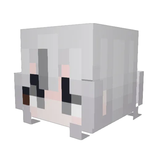 mycatsucks Minecraft avatar head, 3D render