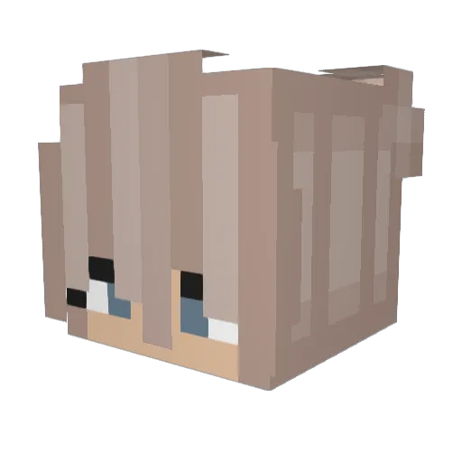 mychvlle Minecraft avatar head, 3D render