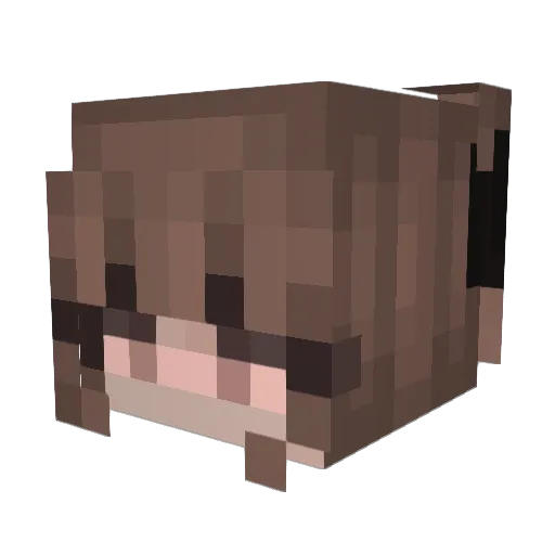 mydst Minecraft avatar head, 3D render