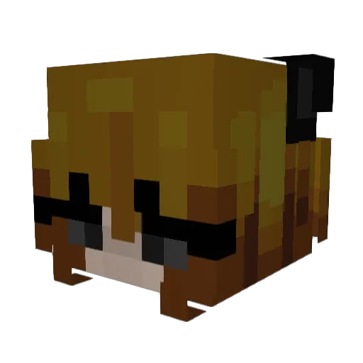 myep Minecraft avatar head, 3D render