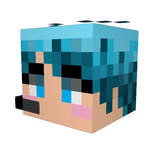 myeuaa Minecraft avatar head, 3D render