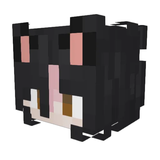 myfilter07 Minecraft avatar head, 3D render