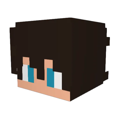 mygod_a_panda Minecraft avatar head, 3D render