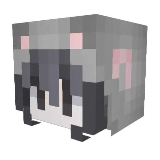 myhandsaresocold Minecraft avatar head, 3D render