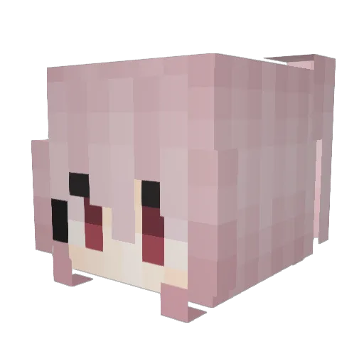 myje Minecraft avatar head, 3D render
