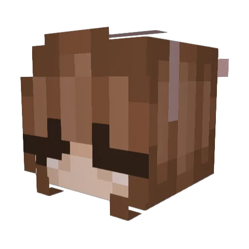 myleftsack Minecraft avatar head, 3D render