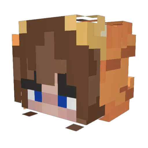 myleftsock_ Minecraft avatar head, 3D render