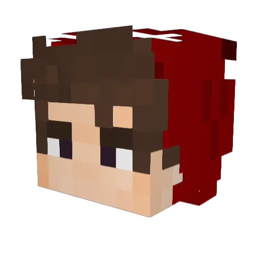 myminer206 Minecraft avatar head, 3D render