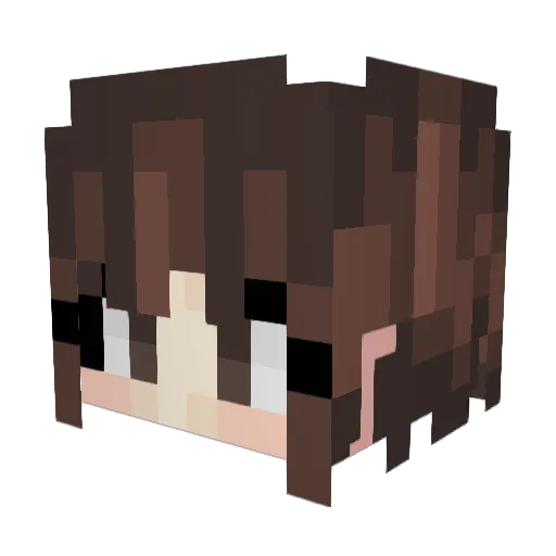 mymousebroke Minecraft avatar head, 3D render