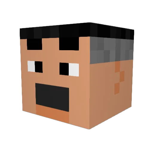 mymsisactually42 Minecraft avatar head, 3D render