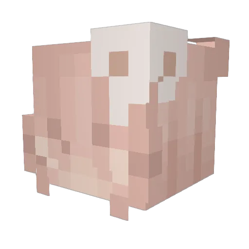 mymycrook Minecraft avatar head, 3D render