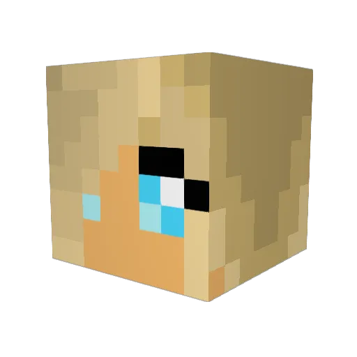 mynameis2long Minecraft avatar head, 3D render