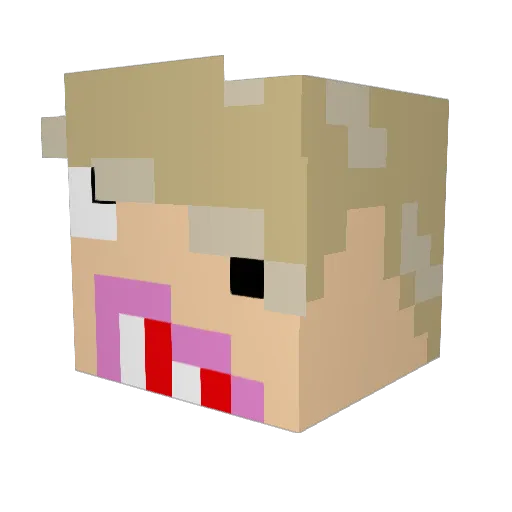mynameisbest Minecraft avatar head, 3D render